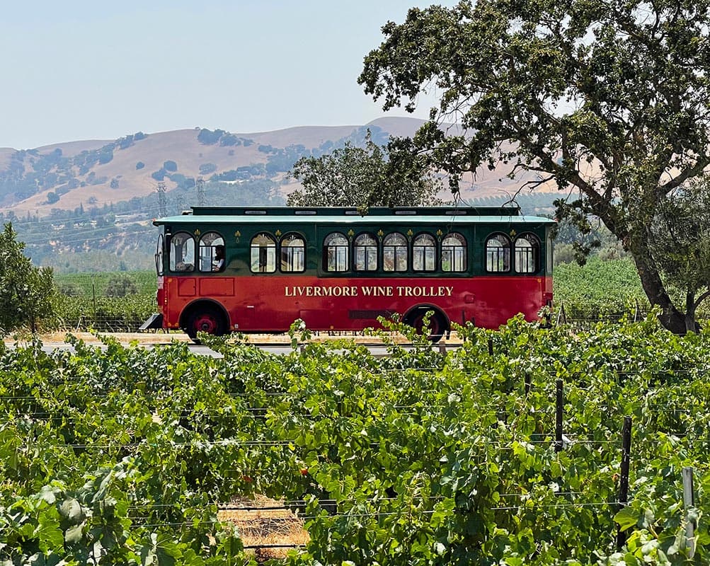 The Best Things to Do in Livermore Wine Country This Weekend
